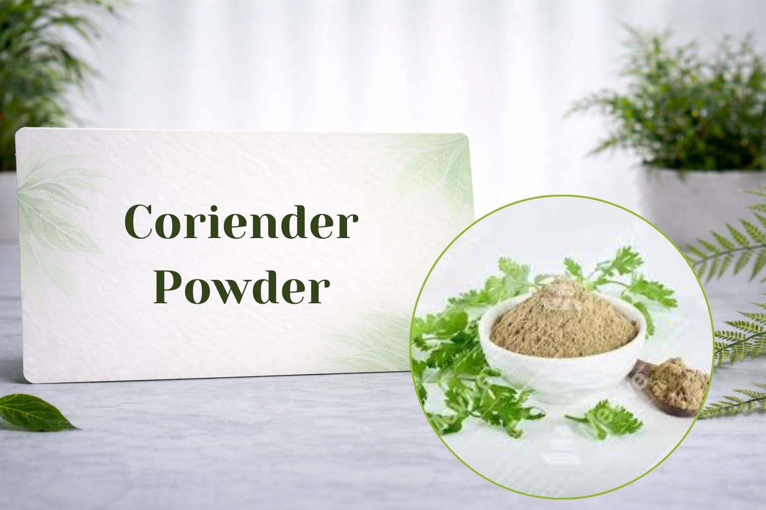 Coriander Powder