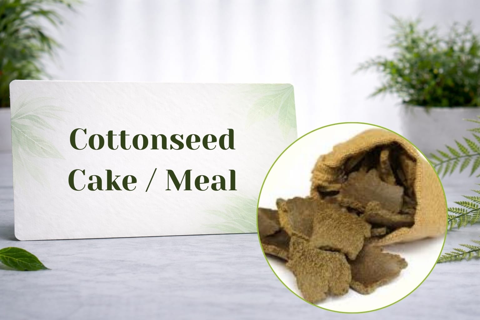 Cottonseed Cake/Meal