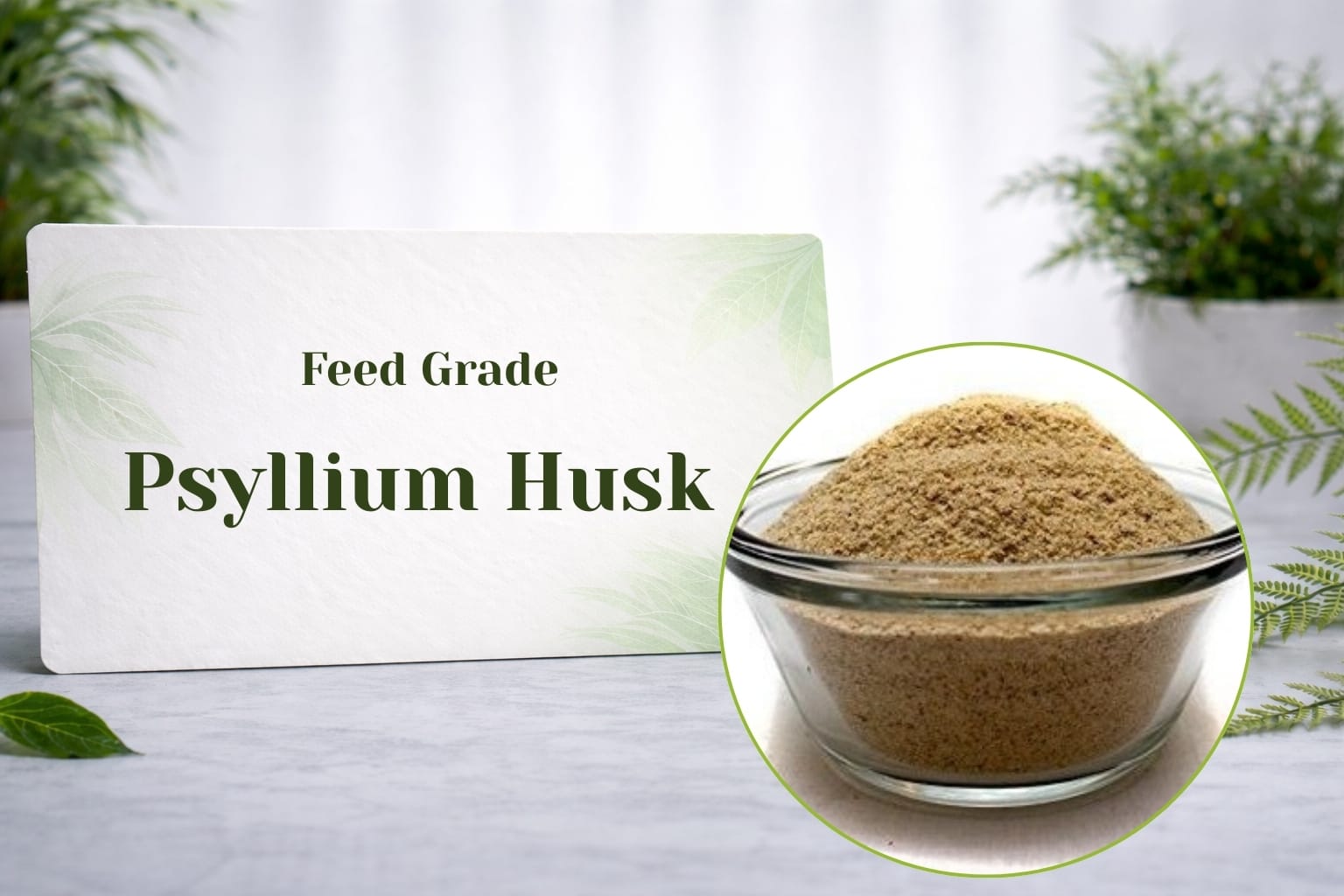 Feed Grade Psyllium Husk