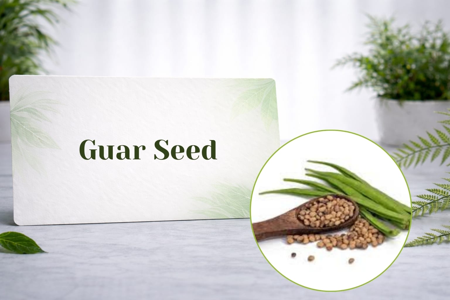 Guar Seed
