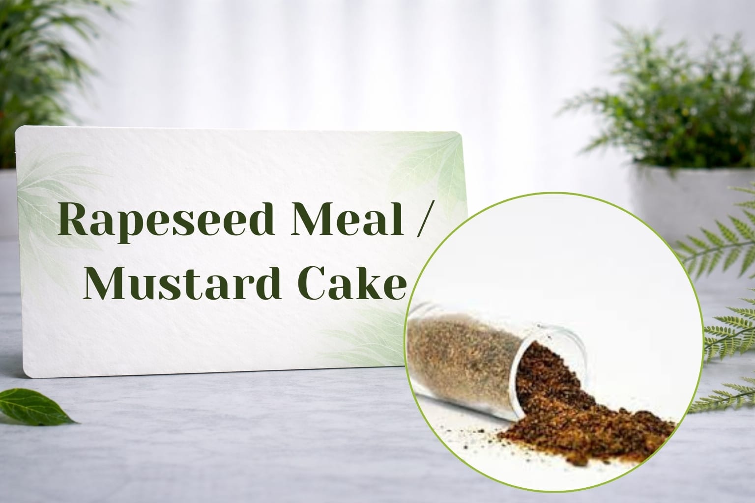 Rapeseed Meal / Mustard Cake