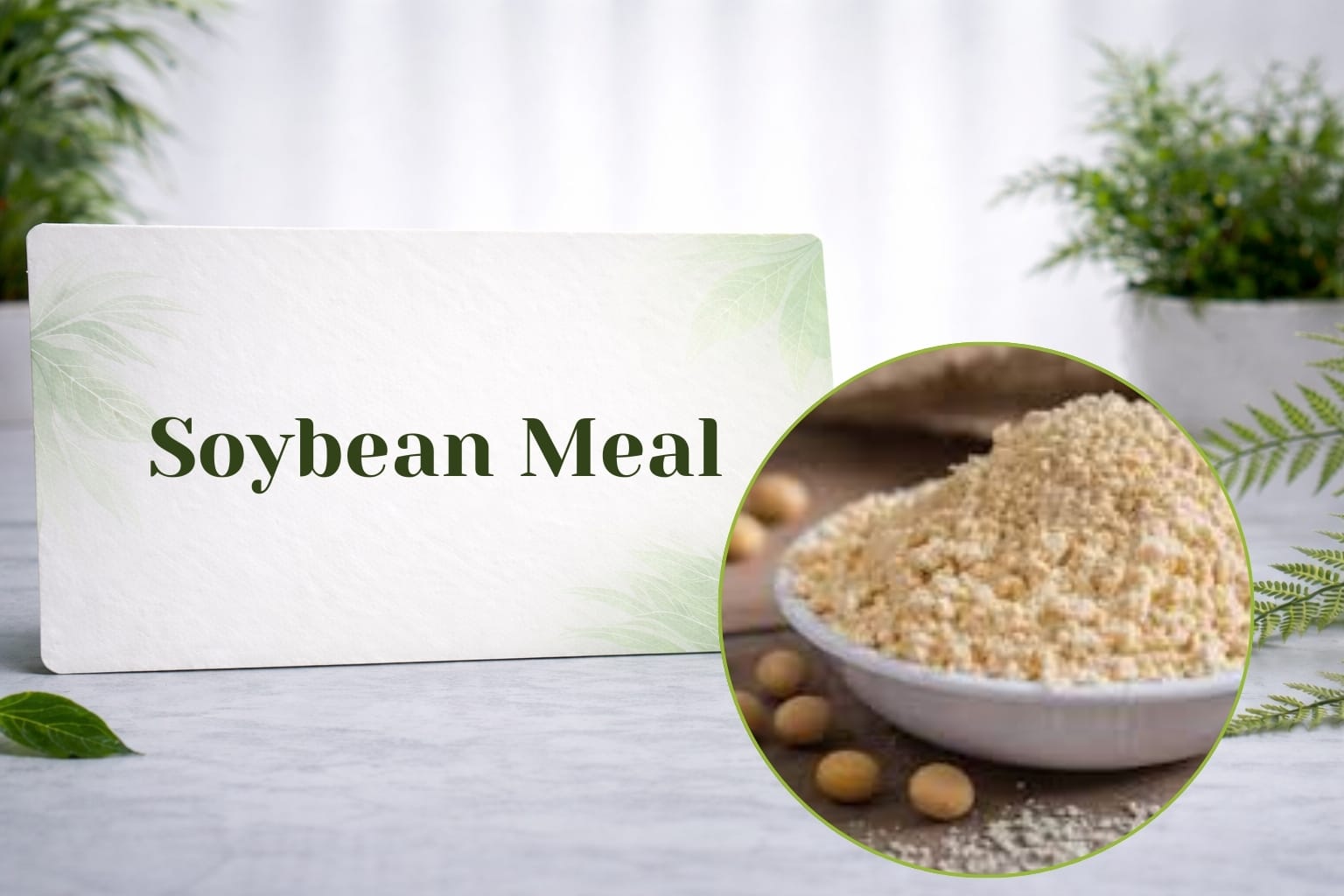 Soybean Meal